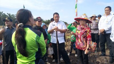 LTT Melebihi Target, Bupati Karolin Optimis Swasembada Pangan di Landak Terwujud