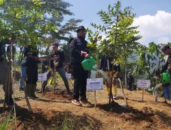 Peringati Hari Lingkungan Hidup, PTPN IV Gelar Aksi Penghijauan di Landak