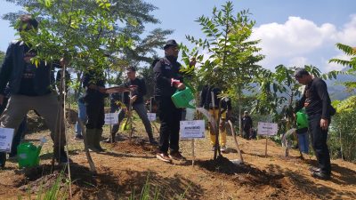 Peringati Hari Lingkungan Hidup, PTPN IV Gelar Aksi Penghijauan di Landak