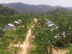 Program Transmigrasi di Sambas Dinilai Picu Konflik Sosial dan Kerusakan Lingkungan