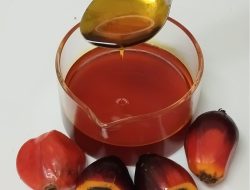 Harga CPO Naik Tipis di KPBN dan Bursa Malaysia, Pasar Masih Wait and See