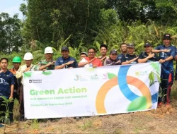 Green Action PLN IP UBP Sanggau: Bukti Nyata Komitmen Peduli Lingkungan