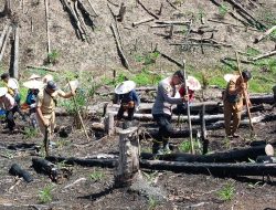 Kapolsek Kuala Behe Ikut Tanam Jagung, Dukung Ketahanan Pangan Nasional