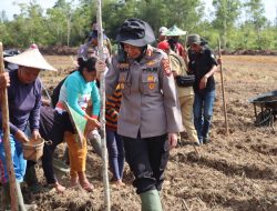 Polres Landak Galang Gotong Royong Wujudkan Ketahanan Pangan Lewat Demplot Presisi