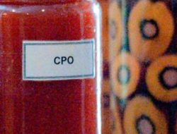 Harga CPO KPBN Naik Tipis, Sentimen Positif Datang dari Bursa Malaysia