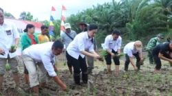 107,6 Hektare Cetak Sawah di Landak Diminta Ditanami