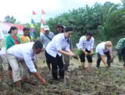 107,6 Hektare Cetak Sawah di Landak Diminta Ditanami